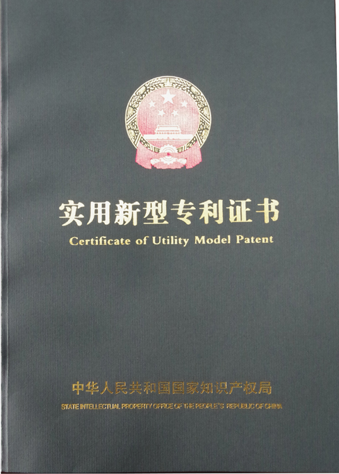 Cover of patent 2
